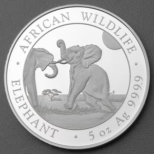 Silbermünze 5oz "Elefant" 2024 African Wildlife diff. (Somalia) - Miniaturansicht 1