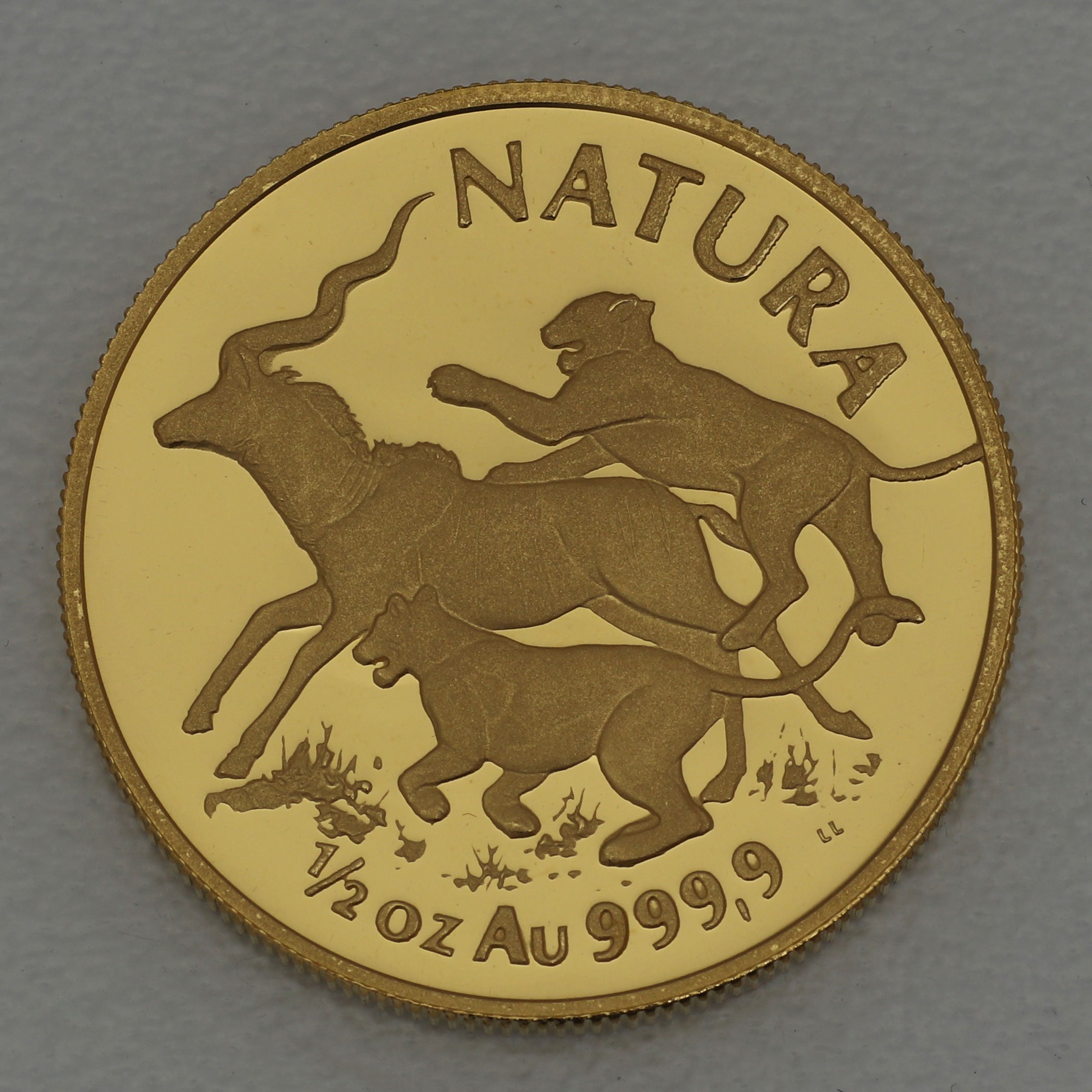Goldmünzen "The Lion" 1994 Natura Set 4-teilig Big Five (Südafrika) - Detailansicht 6