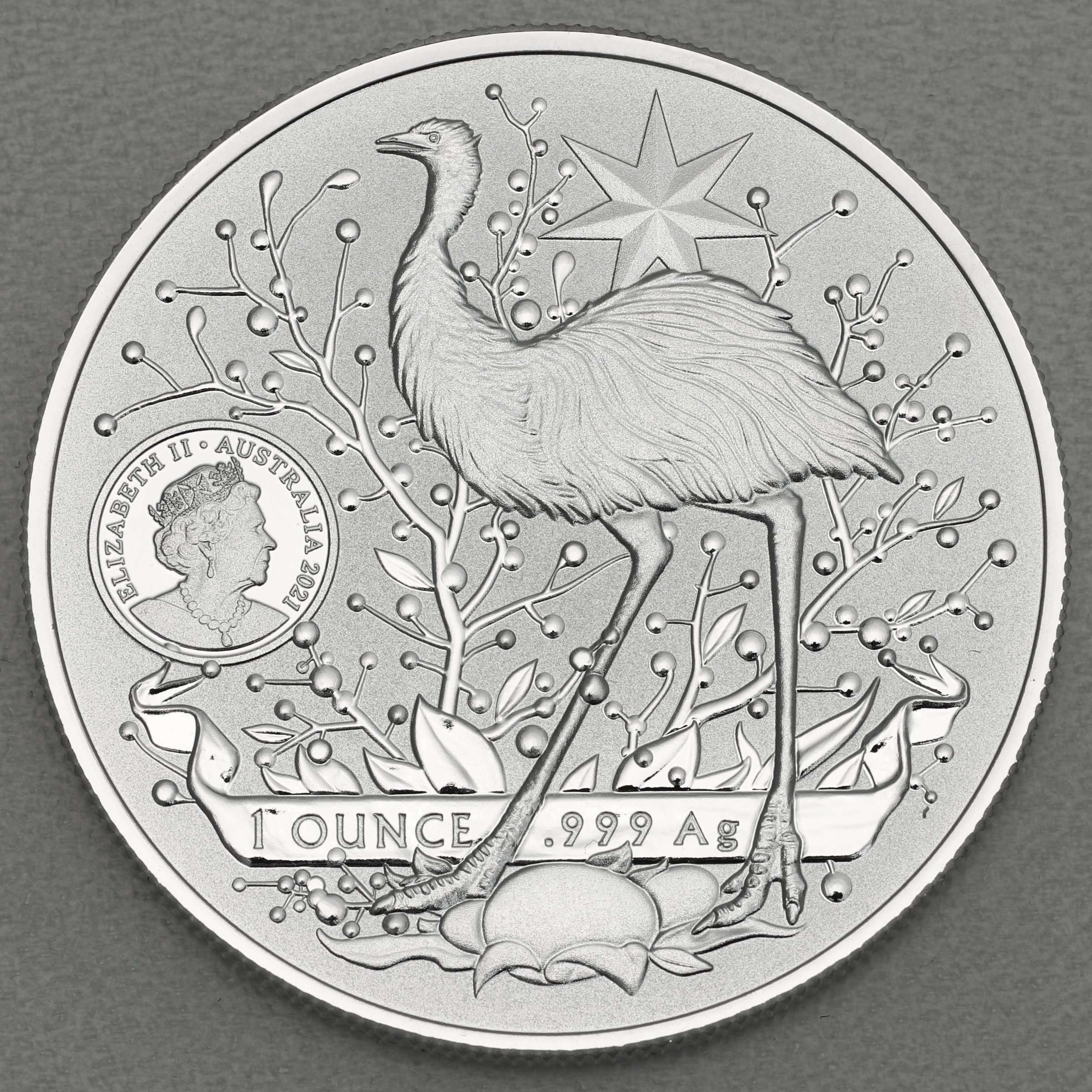 Silbermünze 1oz "Australia’s Coat of Arms" 2021 (Australien) - Detailansicht 1