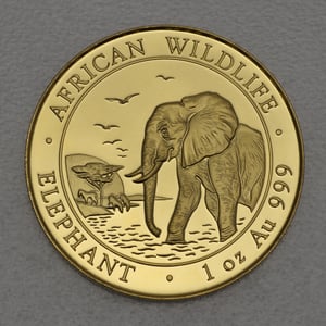 Goldmünze 1oz "Elefant" 2010 African Wildlife (Somalia) - Miniaturansicht 1