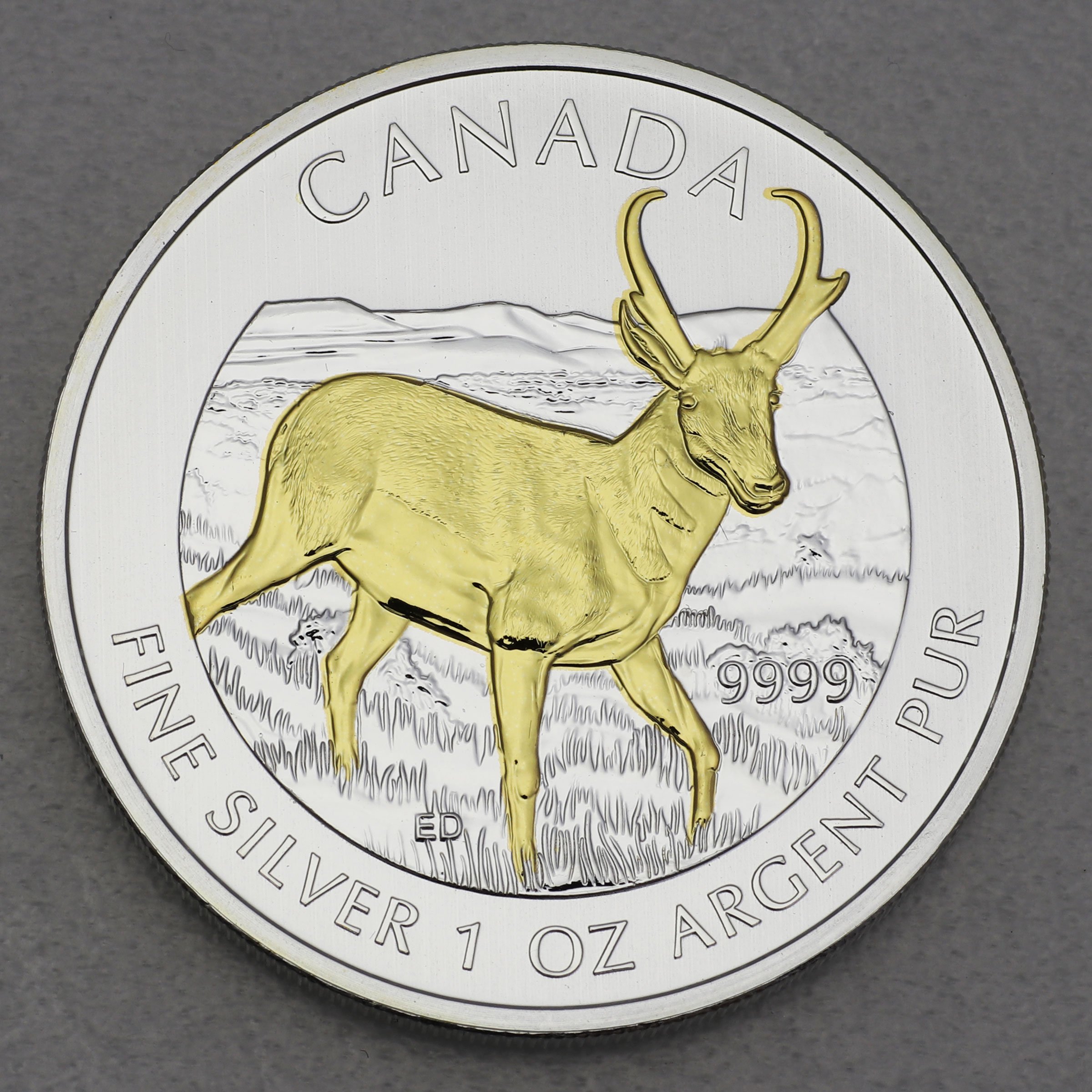 Silbermünze 1oz "Antilope" 2013 (vergoldet) Wildlife Canada (Kanada) - Hauptansicht