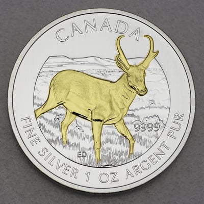 Silbermünze 1oz "Antilope" 2013 (vergoldet) Wildlife Canada (Kanada) - Miniaturansicht 1