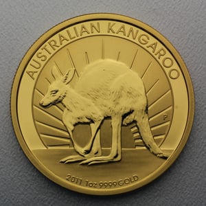 Goldmünze 1oz "Känguru" versch. Jahrgänge (Australien) - Hauptansicht