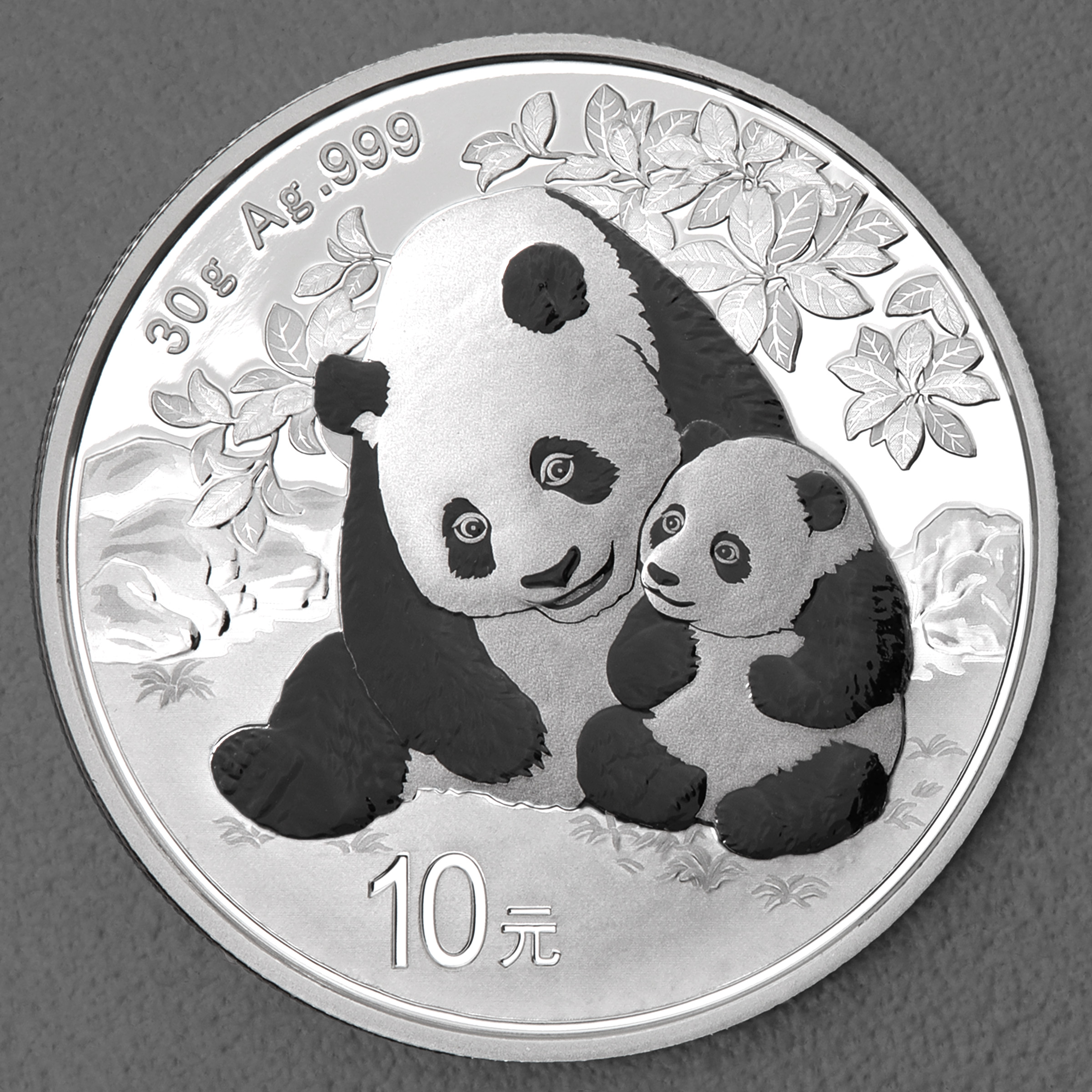 Silbermünze 30g "Panda" 2024 19% (China) - Hauptansicht