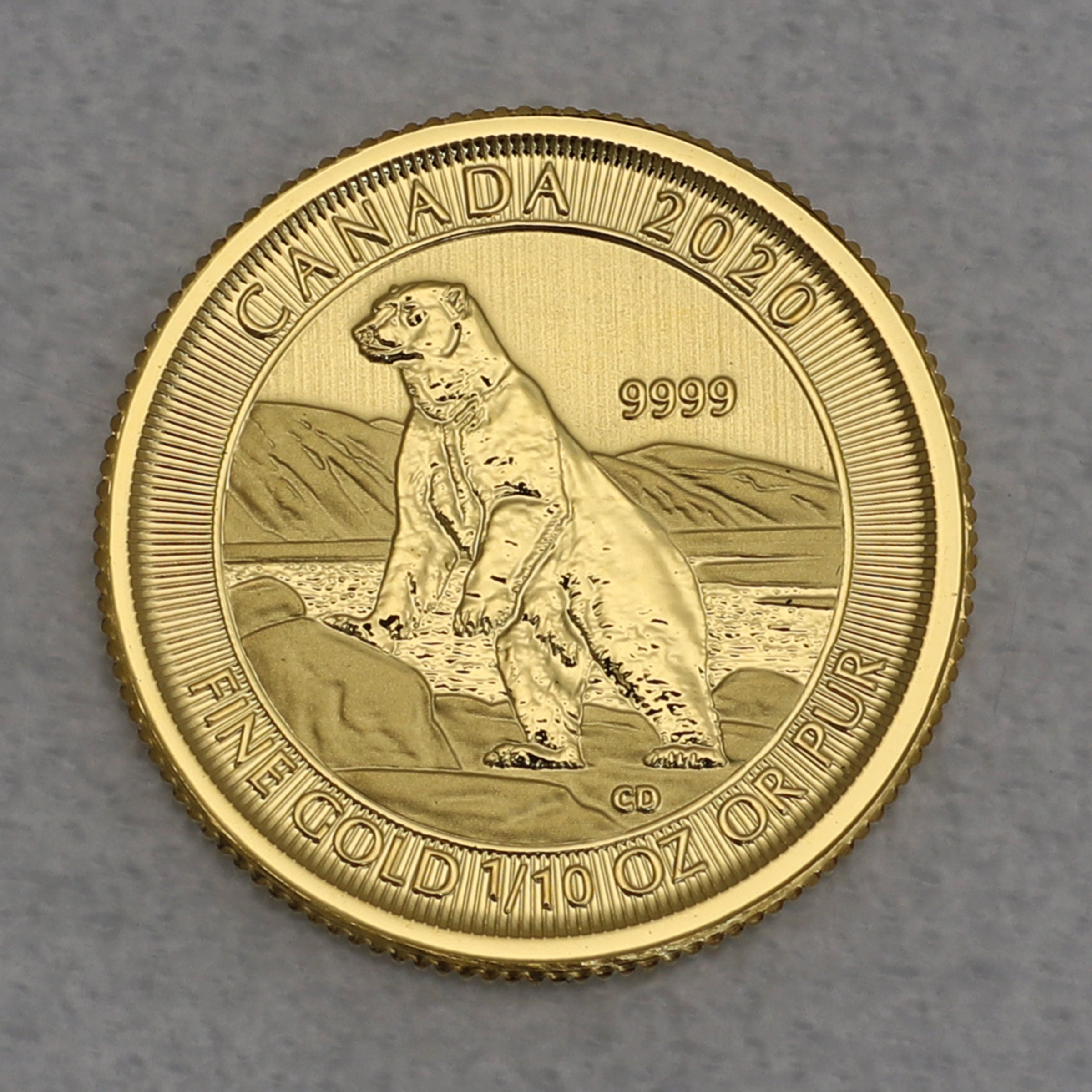 Goldmünze 1/10oz "Polarbär" 2020 (Kanada) - Hauptansicht