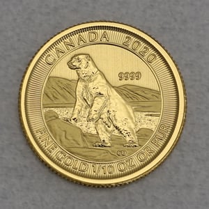 Goldmünze 1/10oz "Polarbär" 2020 (Kanada) - Hauptansicht