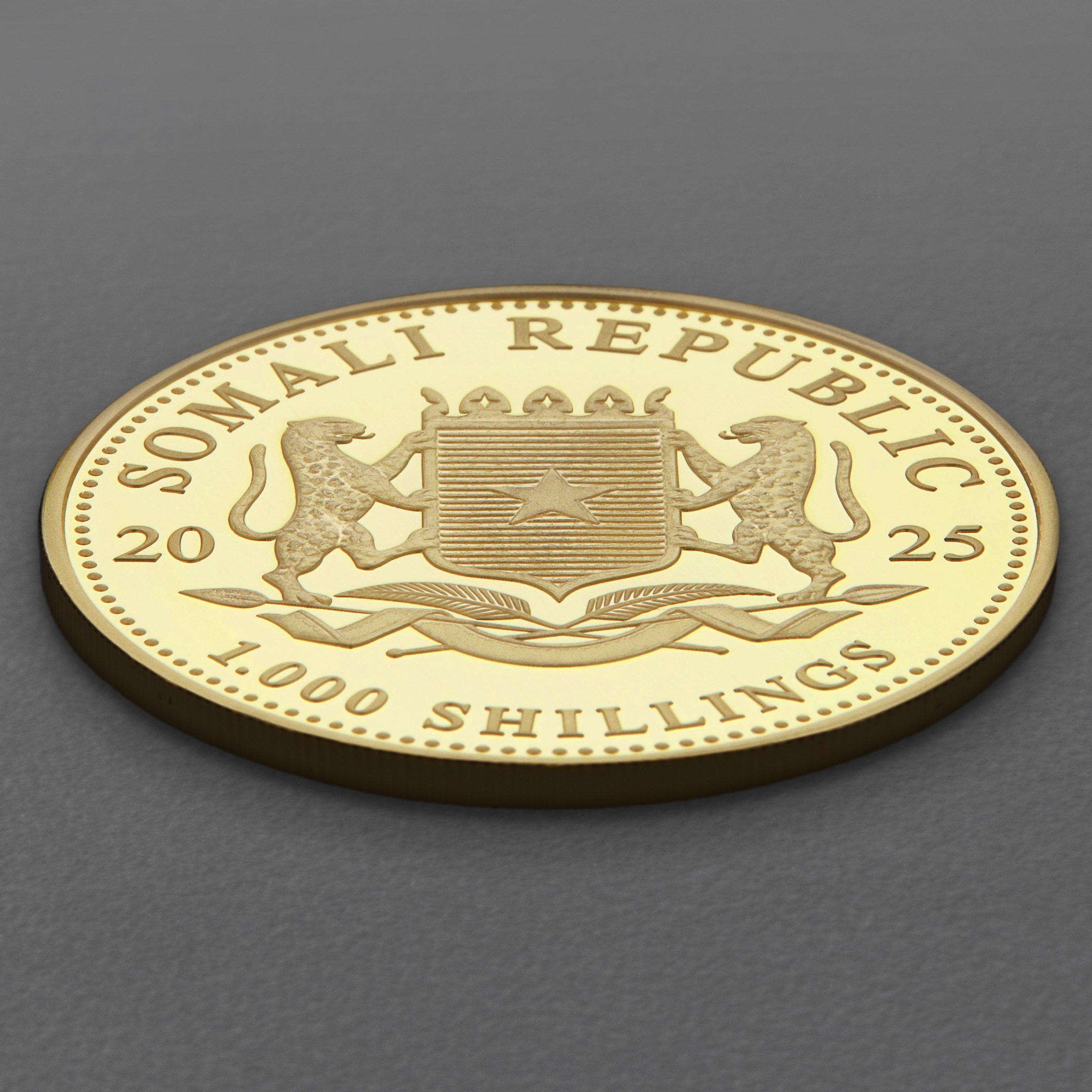 Goldmünze 1oz "Leopard" 2025 African Wildlife (Somalia) - Detailansicht 3