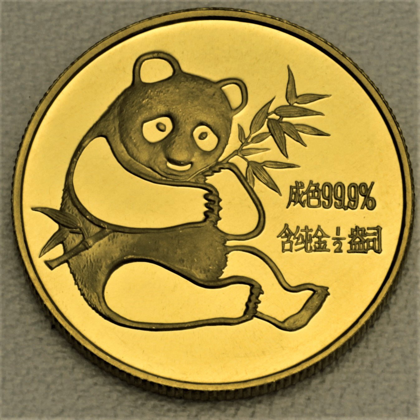 Goldmünze 1/2oz "Panda" 1982 (China) - Hauptansicht