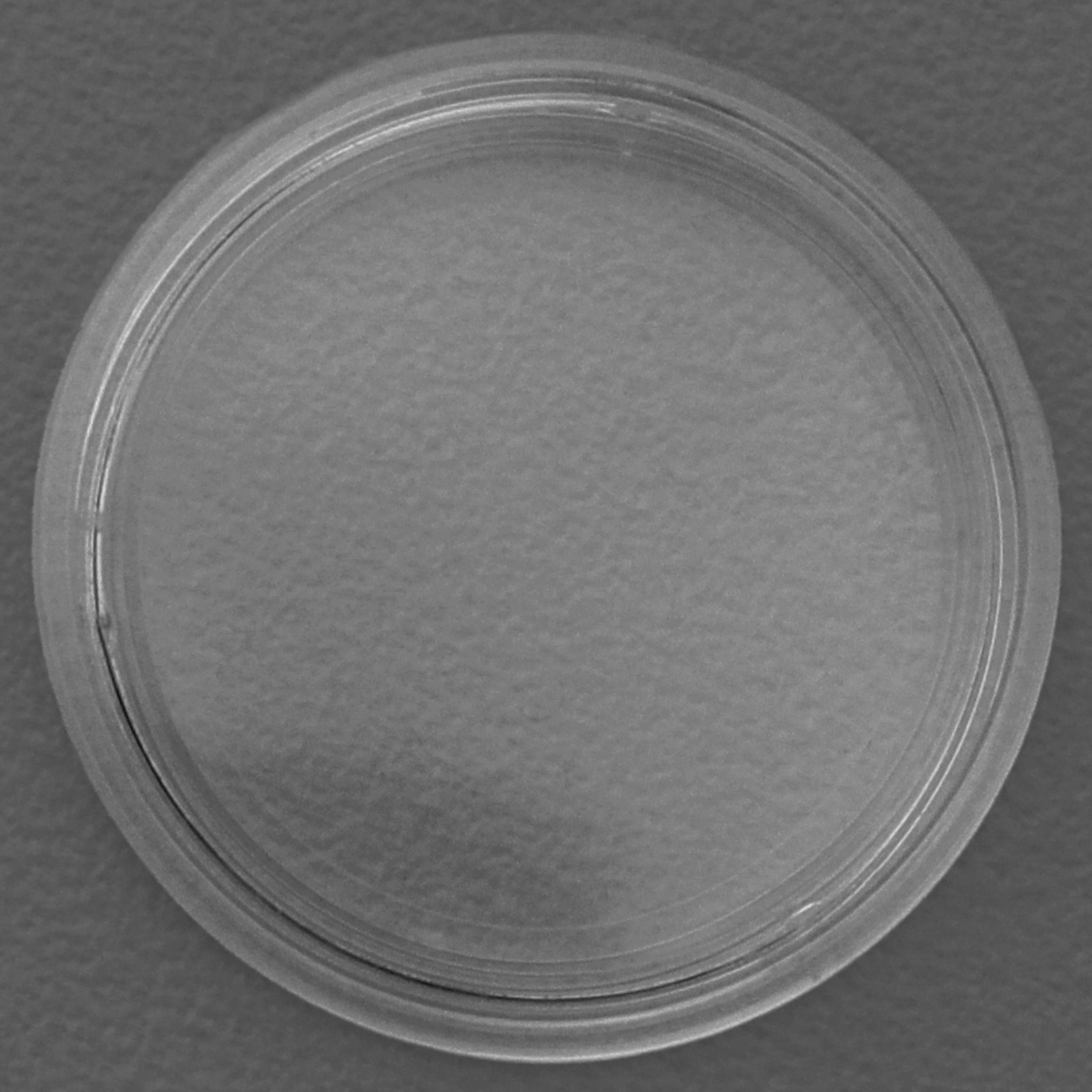 Münzkapseln 24mm 10er-Packung - Detailansicht 1