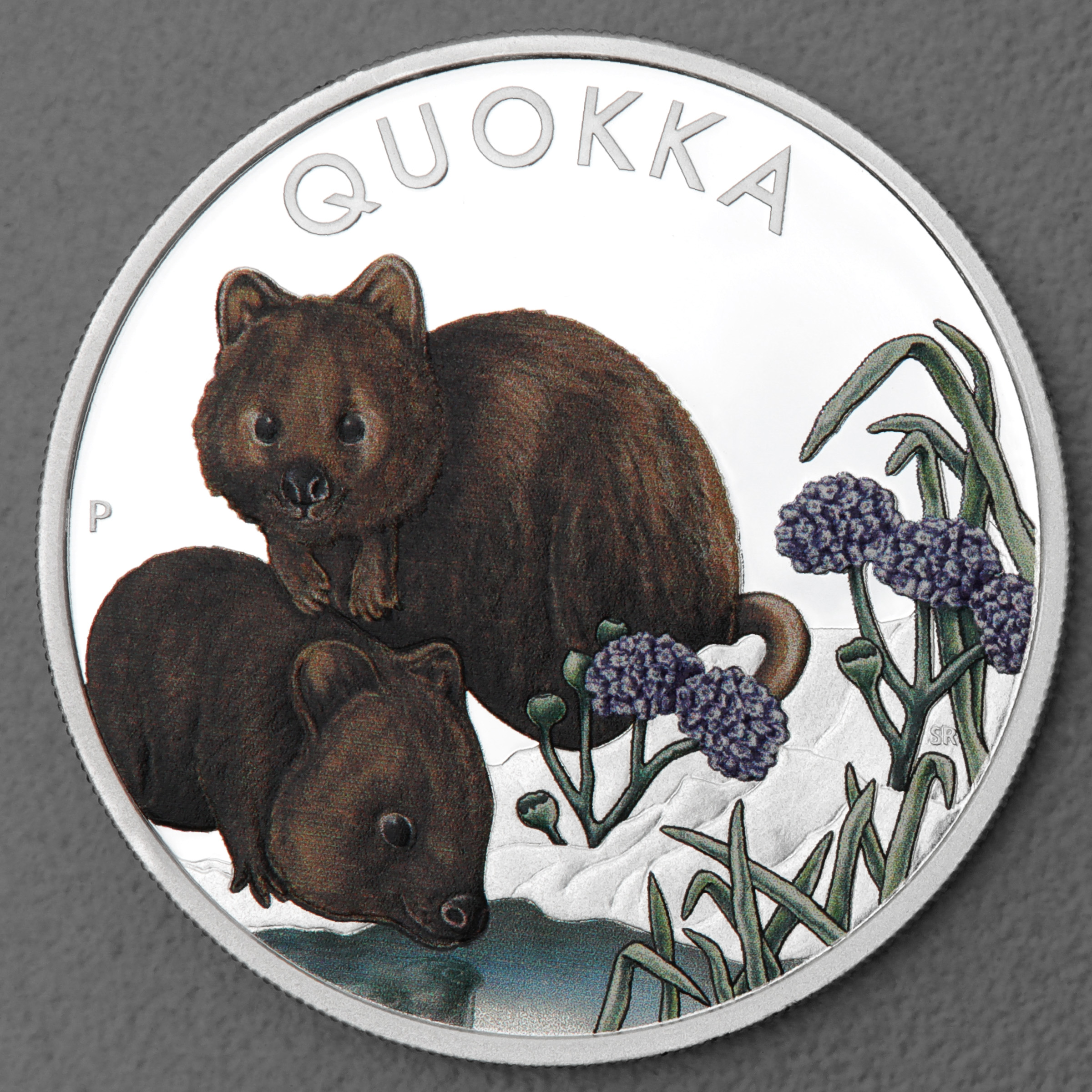 Silbermünze 1oz "Quokka" 2023 (PP/koloriert) (Australien) - Hauptansicht