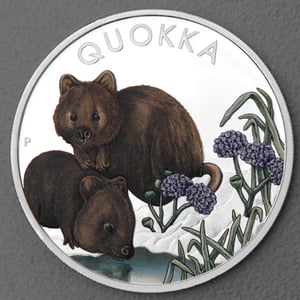 Silbermünze 1oz "Quokka" 2023 (PP/koloriert) (Australien) - Miniaturansicht 1