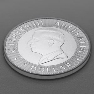 Silbermünze 1oz "Känguru" aktueller Jahrgang 19% (Australien) - Miniaturansicht 4