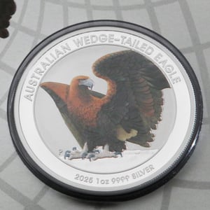 Silbermünze 1oz "Wedge-tailed Eagle" 2025 (koloriert) in Coin Card (Australien) - Miniaturansicht 3