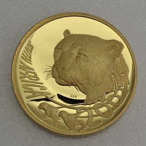 Goldmünze 1/2oz "The Cheetah" 2002 Natura - Wild Cats of Africa (Südafrika) - Hauptansicht