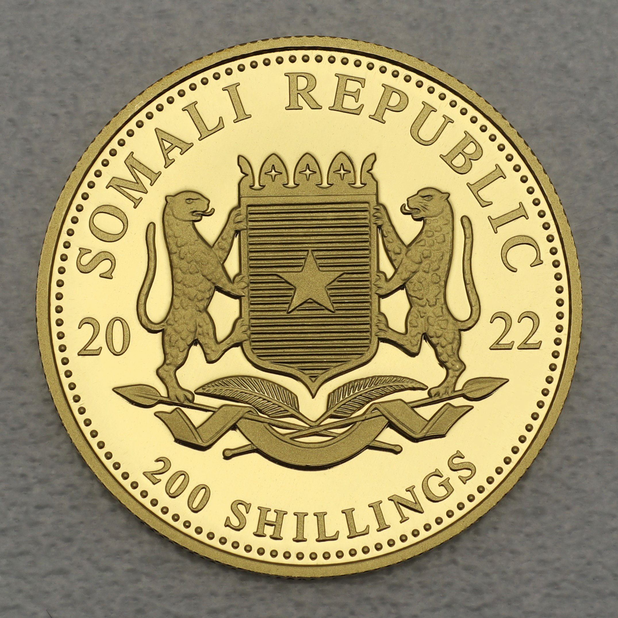 Goldmünze 1/4oz "Elefant" 2022 African Wildlife (Somalia) - Detailansicht 1