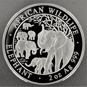Silbermünze 2oz "Elefant" 2008 African Wildlife (Somalia) - Miniaturansicht 1