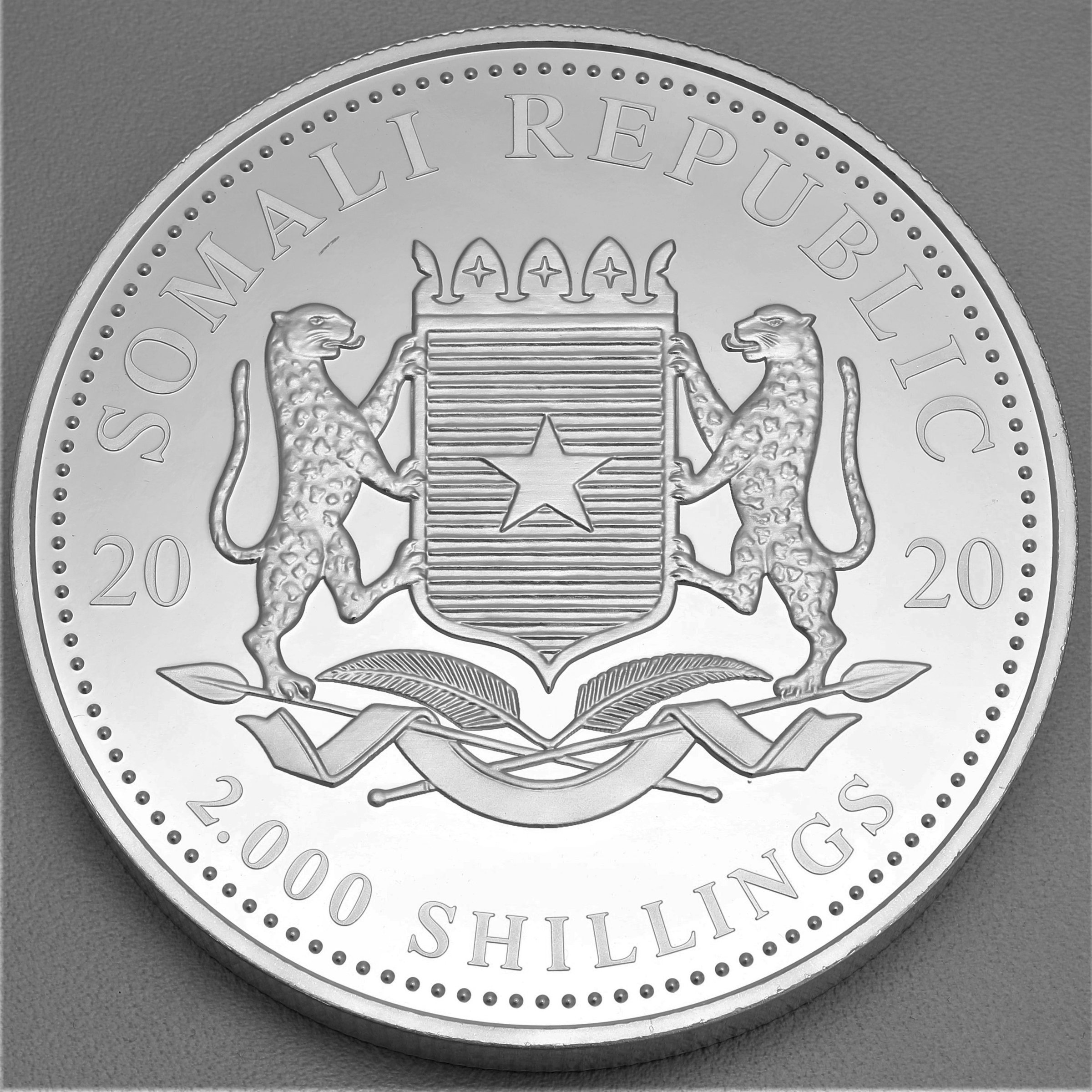 Silbermünze 1kg "Elefant" 2020 African Wildlife (Somalia) - Detailansicht 1