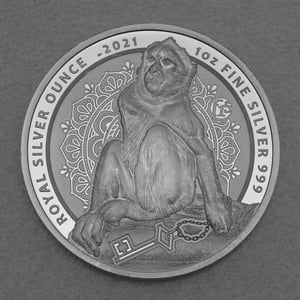 Silbermünze 1oz "Berberaffe" 2021 (Gibraltar) - Miniaturansicht 1