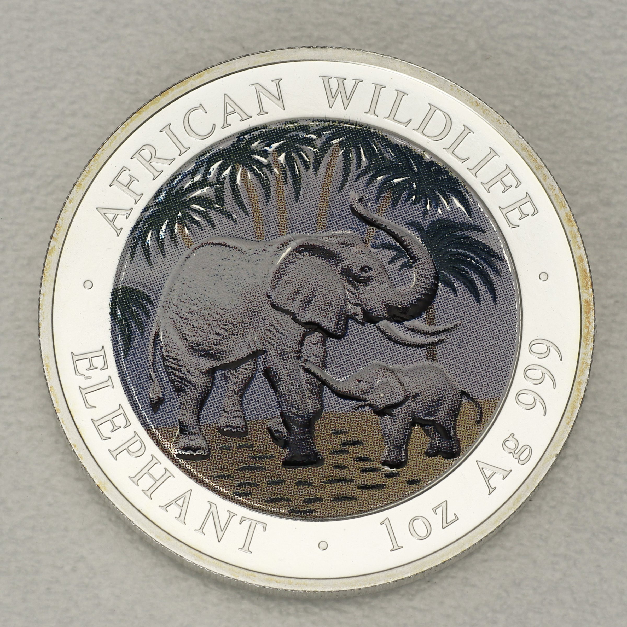Silbermünze 1oz "Elefant" 2007 (koloriert) African Wildlife (Somalia) - Hauptansicht