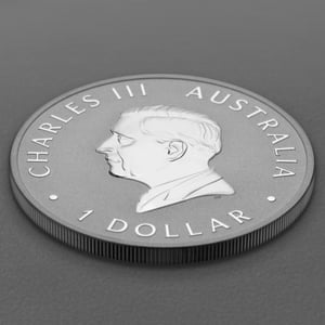 Silbermünze 1oz "Kookaburra" 2026 19% (Australien) - Miniaturansicht 4