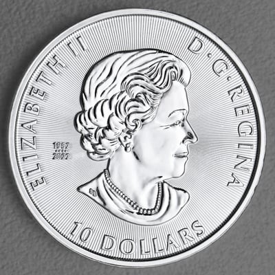 Silbermünze 2oz "Smilodon Säbelzahntiger" 2023 Ice Age 19% (Kanada) - Miniaturansicht 2