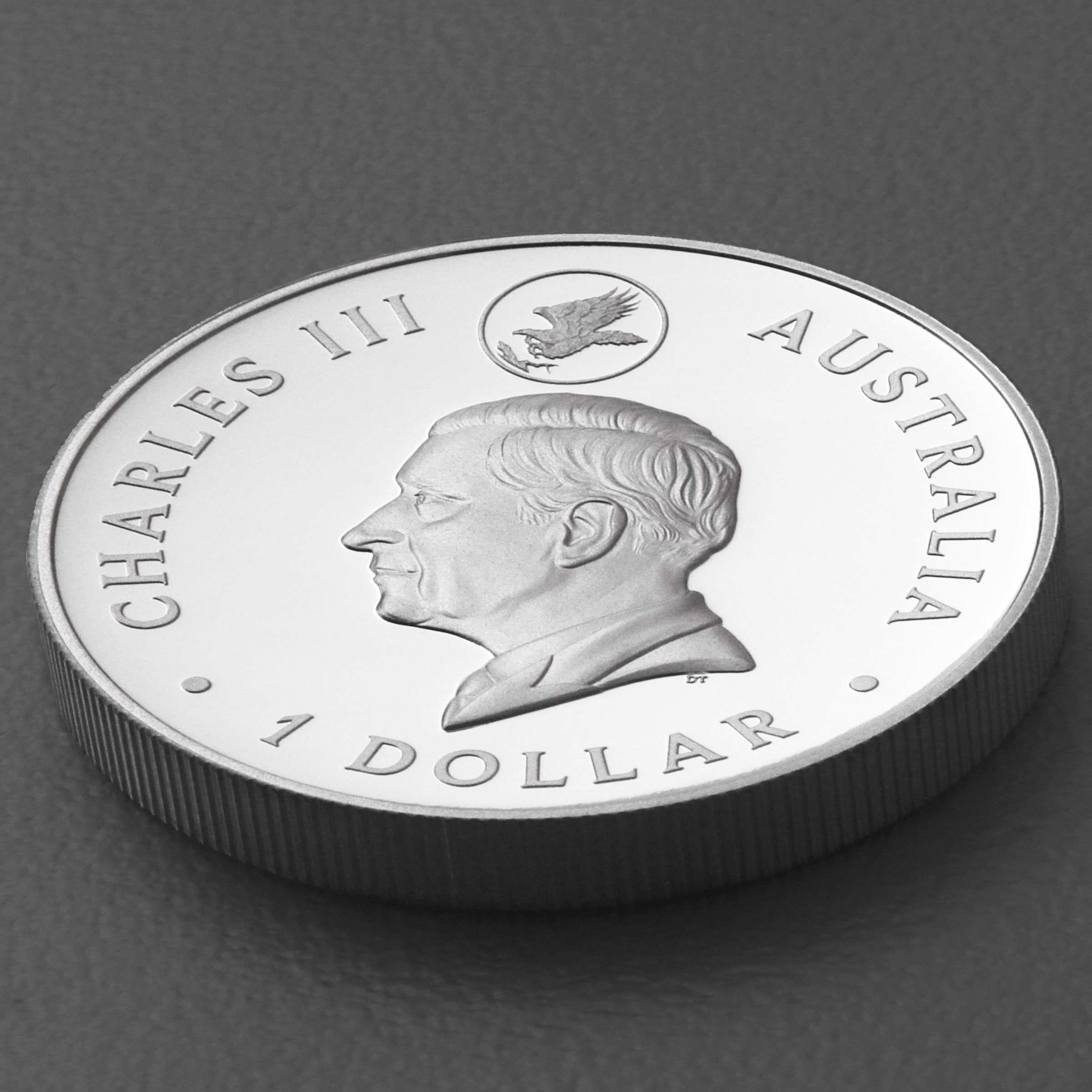 Silbermünze 1oz "Wedge-tailed Eagle" 2024 (PP/HR/vergoldet)10th Anniversary (Australien) - Detailansicht 3