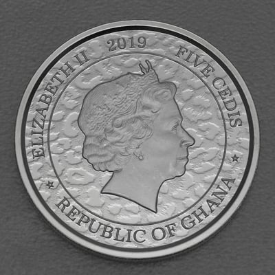 Silbermünze 1oz "African Leopard" 2019 (Ghana) - Miniaturansicht 2