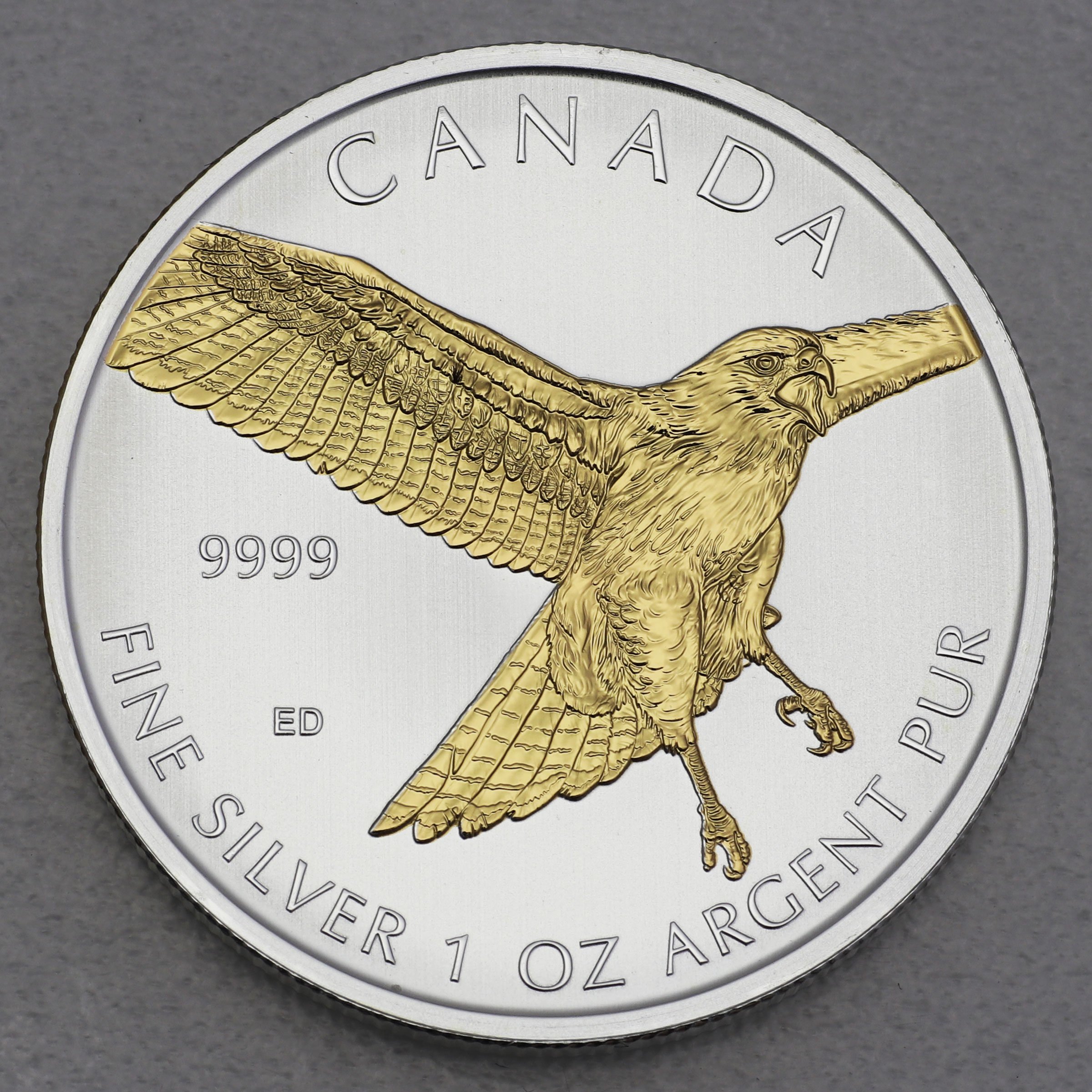 Silbermünze 1oz "Red-tailed Hawk" 2015 (vergoldet) Birds of Prey (Kanada) - Hauptansicht