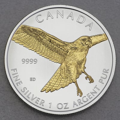 Silbermünze 1oz "Red-tailed Hawk" 2015 (vergoldet) Birds of Prey (Kanada) - Miniaturansicht 1