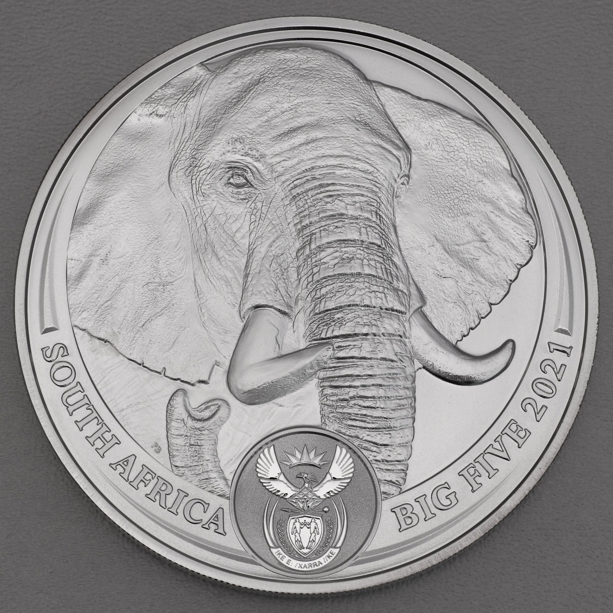 Silbermünze 5oz "Elefant" 2021 Big Five II (Südafrika) - Hauptansicht