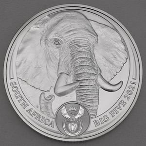 Silbermünze 5oz "Elefant" 2021 Big Five II (Südafrika) - Hauptansicht