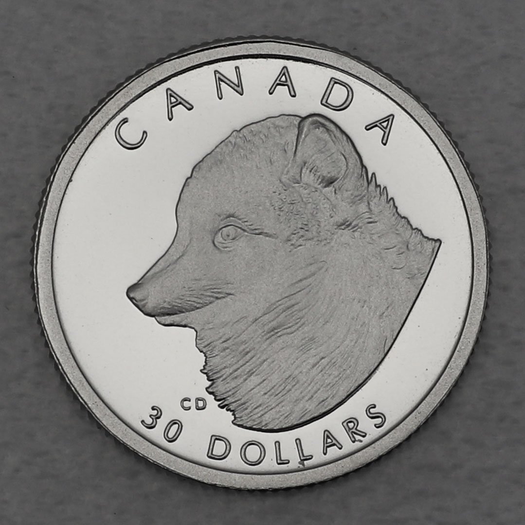 Platinmünze 1/10oz "Arctic Fox" 1993 Wildlife Canada (Kanada) - Hauptansicht