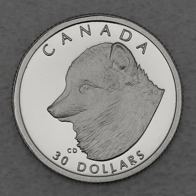 Platinmünze 1/10oz "Arctic Fox" 1993 Wildlife Canada (Kanada) - Miniaturansicht 1