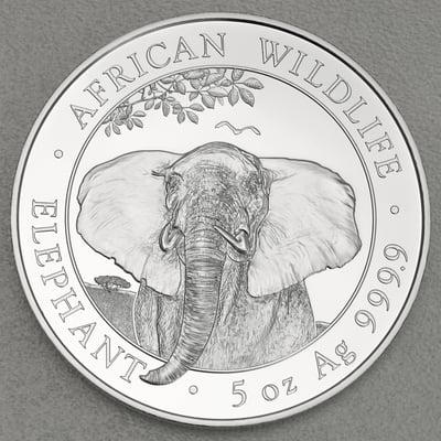 Silbermünze 5oz "Elefant" 2021 African Wildlife (Somalia) - Miniaturansicht 1