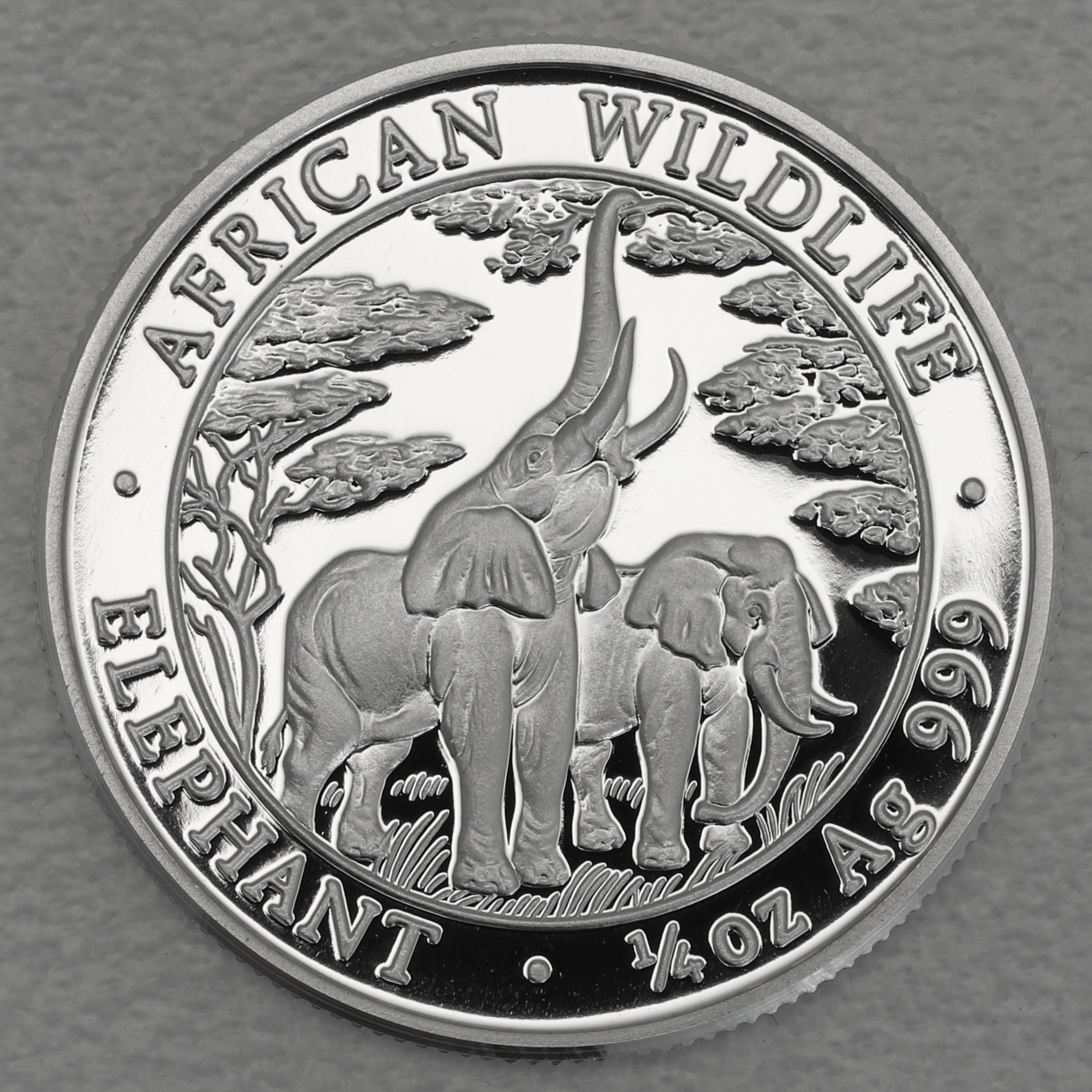 Silbermünze 1/4oz "Zambia Elefant" 2003 (PP) African Wildlife (Sambia) - Hauptansicht