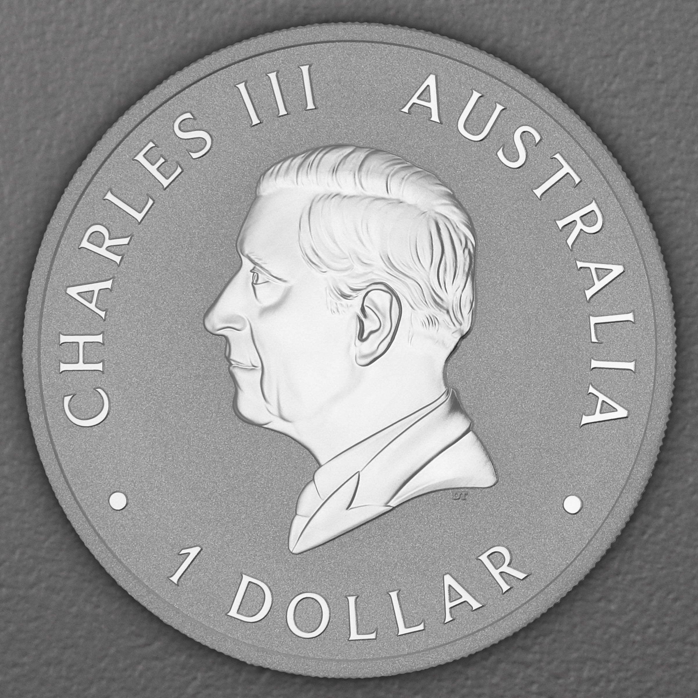 Silbermünze 1oz "Emu" 2026 (Australien) - Detailansicht 1