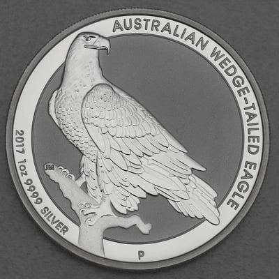 Silbermünze 1oz "Wedge-tailed Eagle" 2017 (Australien) - Hauptansicht