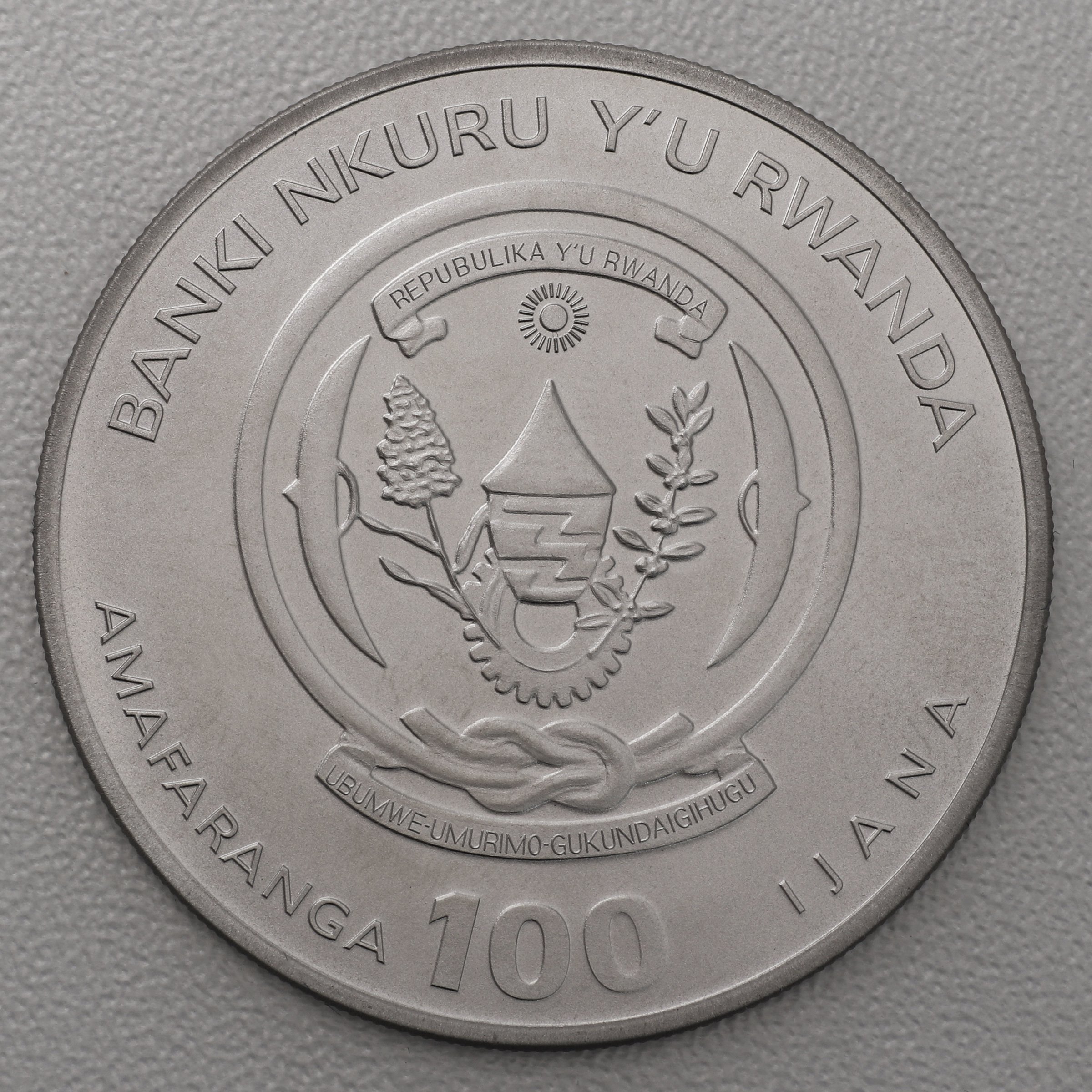 Platinmünze 1oz "Berggorilla" 2023 Jubiläumsausgabe African Ounce diff. (Ruanda) - Detailansicht 1