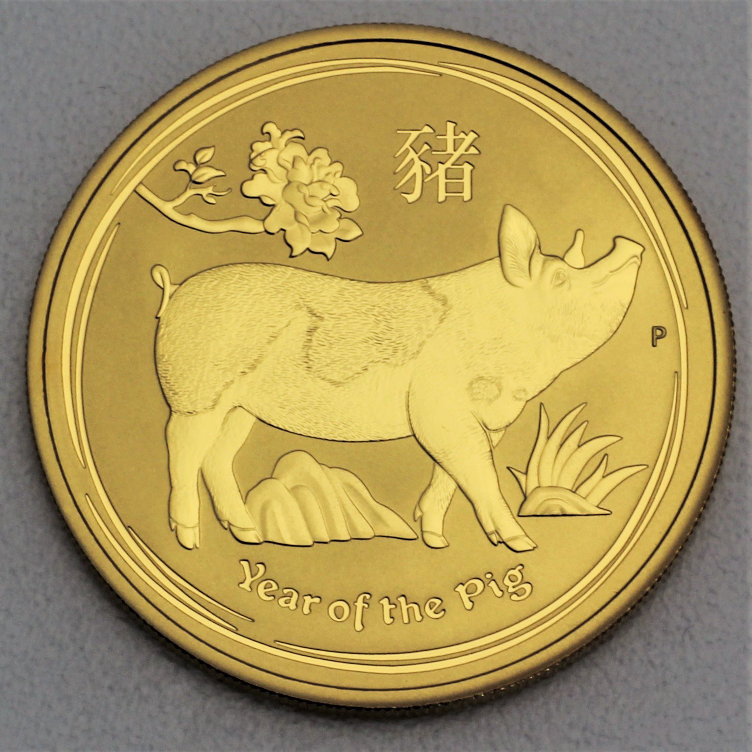 Goldmünze 1/10oz "Schwein" 2019 Lunar II – Year of the Pig (Australien) - Hauptansicht