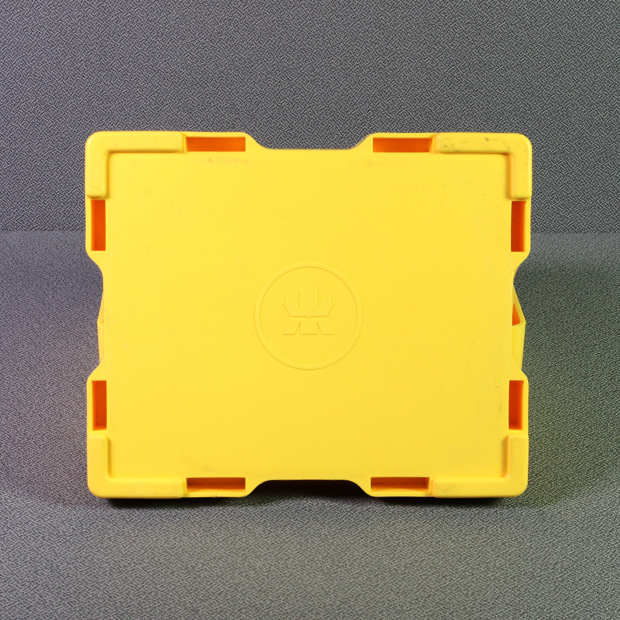 Blanco-Masterbox für Maple Leaf Ag-Münzen - Detailansicht 1