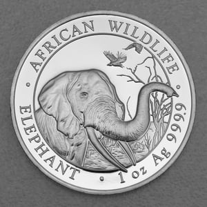 Silbermünze 1oz "Elefant" 2018 African Wildlife (Somalia) - Hauptansicht