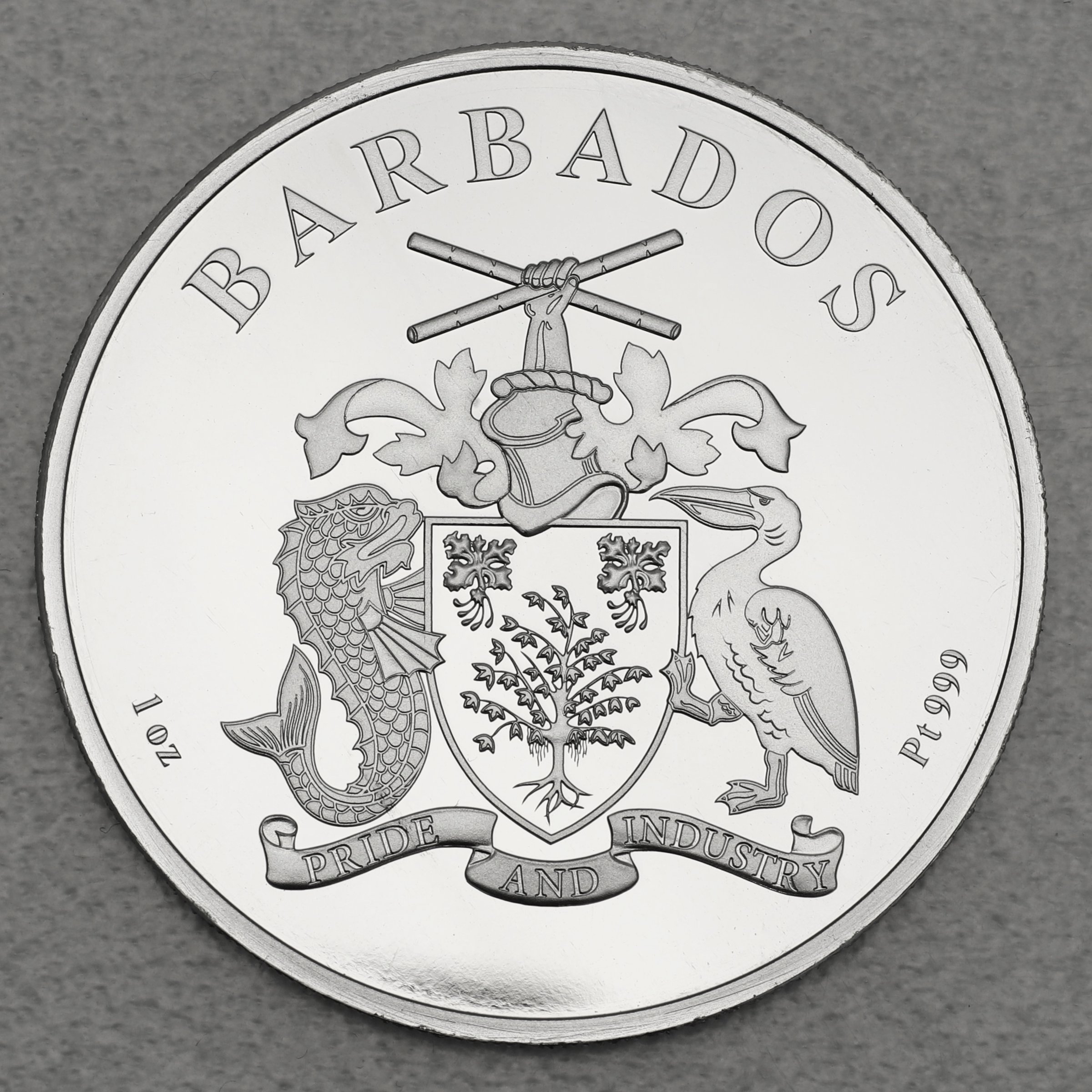 Platinmünze 1oz "Flamingo 2021" (Barbados) - Detailansicht 1