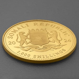 Goldmünze 1oz "Elefant" 2024 African Wildlife (Somalia) - Miniaturansicht 4