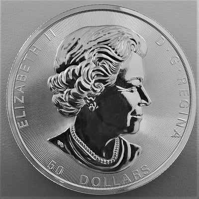 Silbermünze 10oz "Maple Leaf" 2017 Magnificent (Kanada) - Miniaturansicht 2