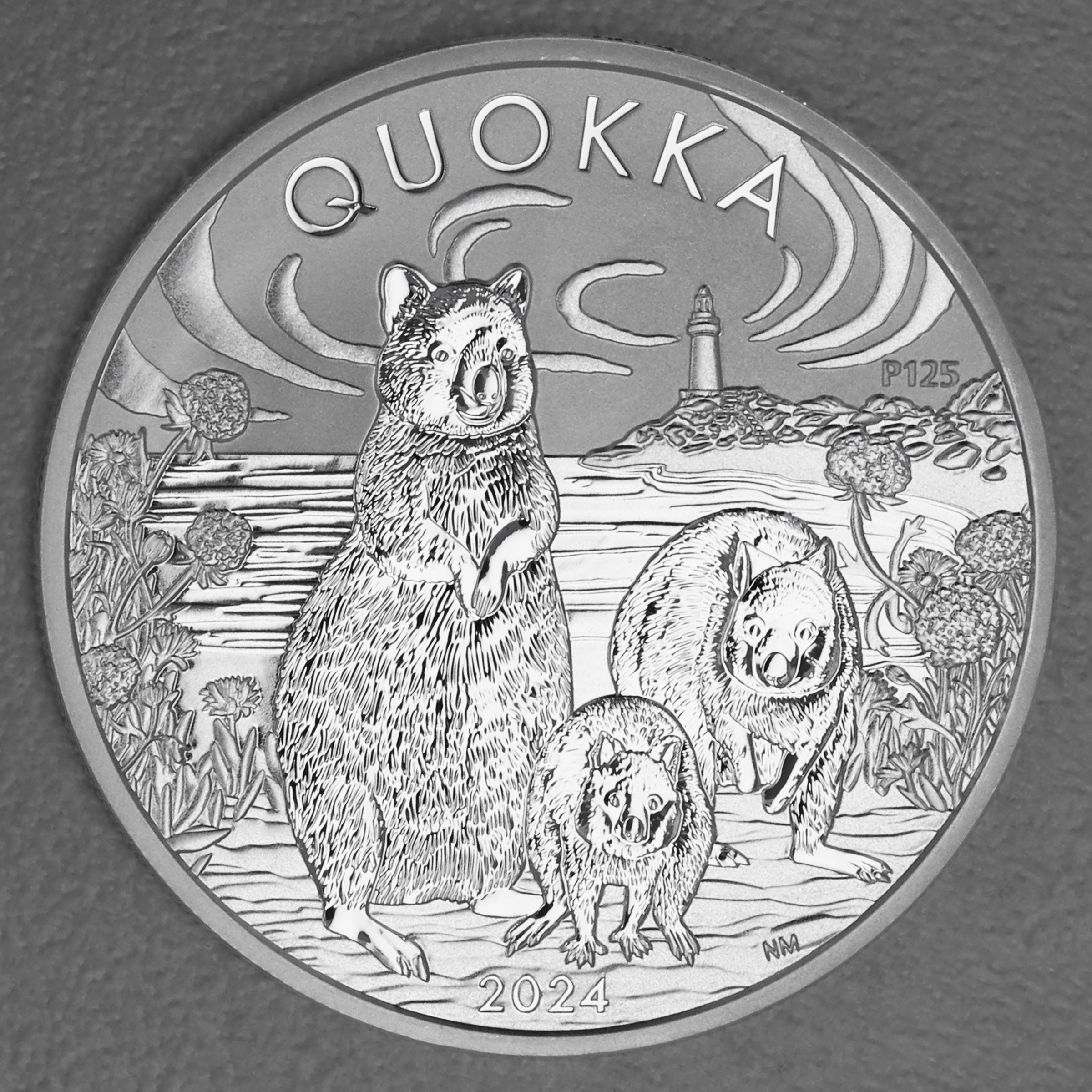 Silbermünze 1oz "Quokka" 2024 (Australien) - Hauptansicht