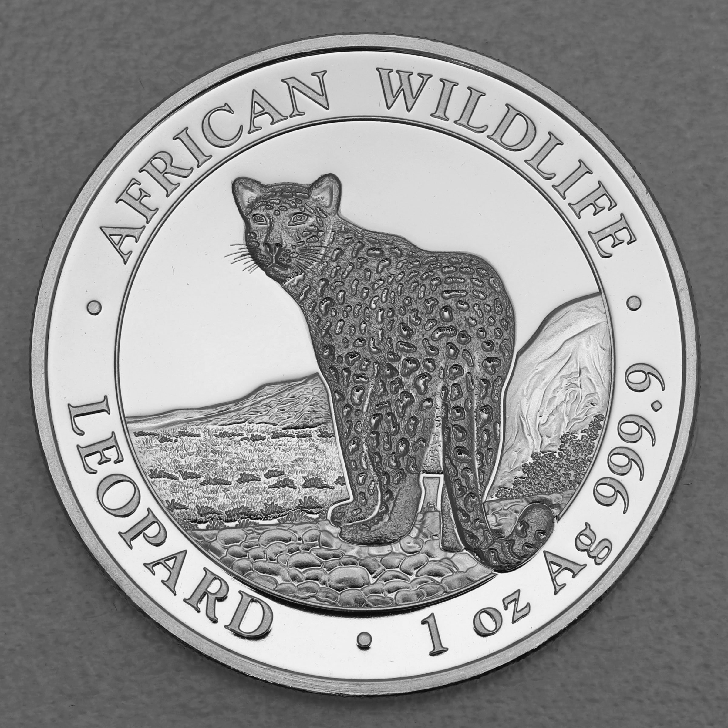 Silbermünze 1oz "Leopard" 2018 African Wildlife (Somalia) - Hauptansicht