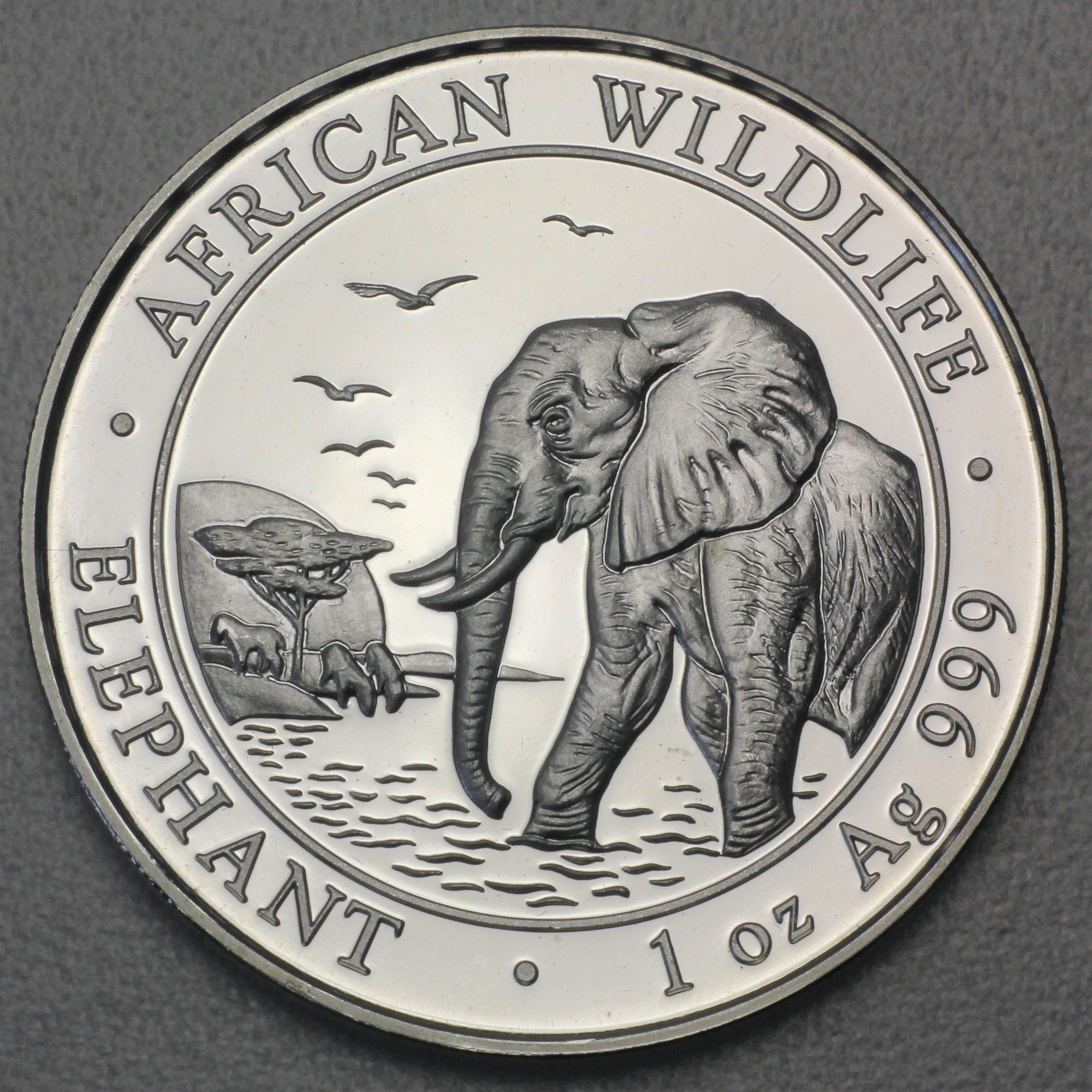Silbermünze 1oz "Elefant" 2010 African Wildlife (Somalia) - Hauptansicht