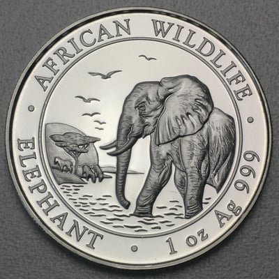 Silbermünze 1oz "Elefant" 2010 African Wildlife (Somalia) - Hauptansicht