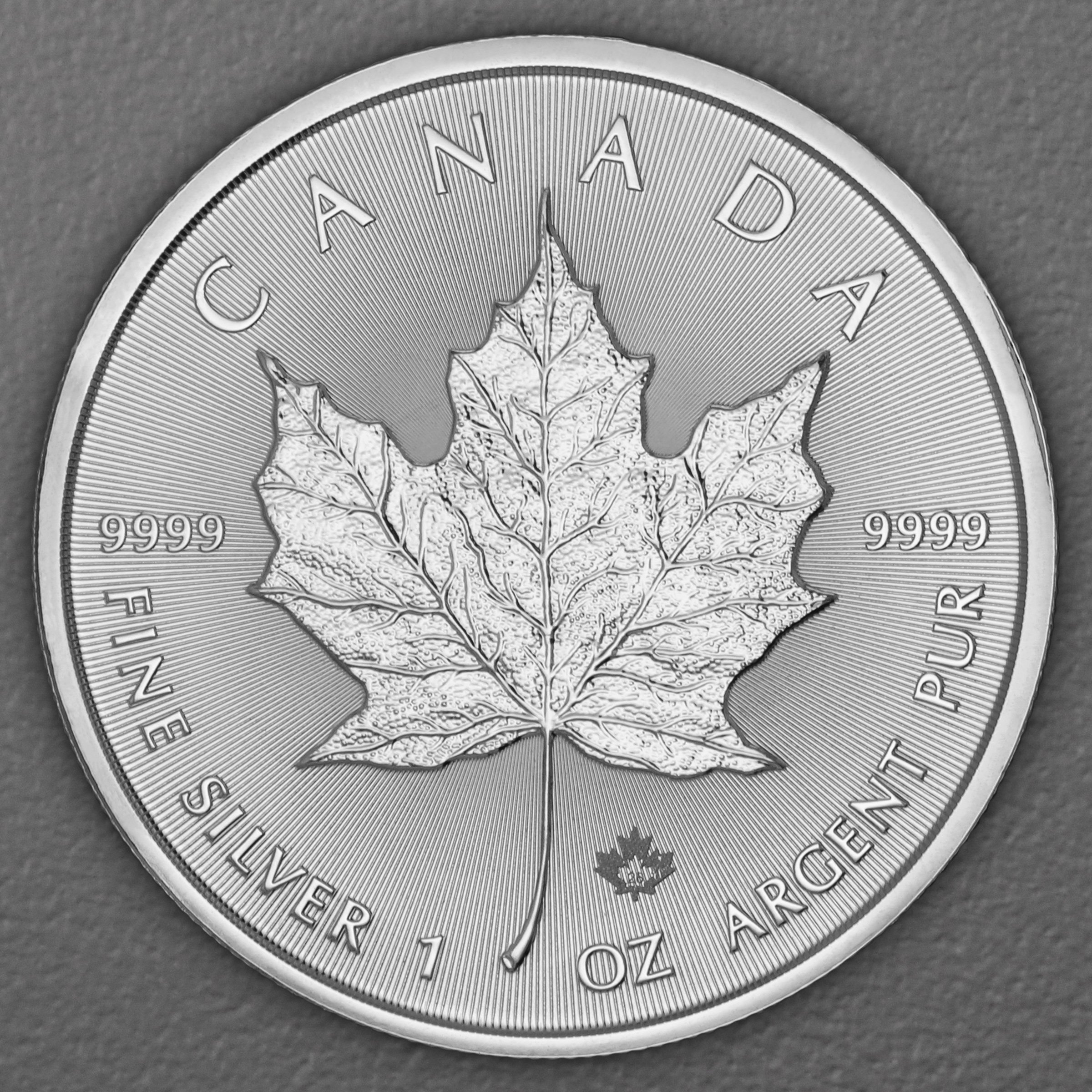 Silbermünze 25 x 1oz "Maple Leaf" aktueller Jahrgang Tube (Kanada) - Detailansicht 2