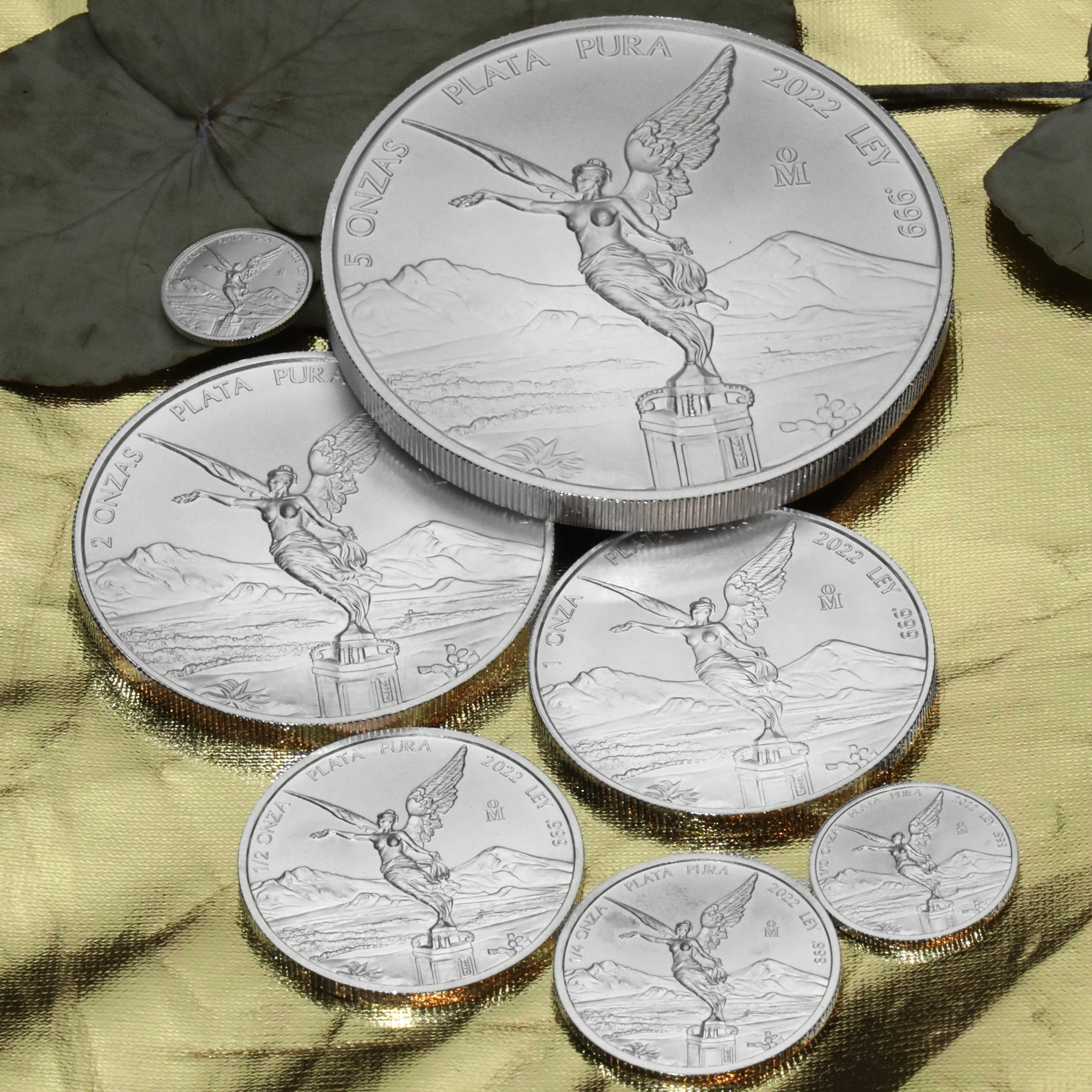 Silbermünze 5oz "Libertad" 2022 (Mexiko) - Detailansicht 5